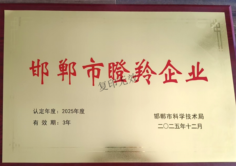 Handan Gazelle Enterprise